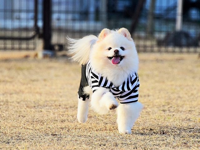 こっちのが似合う?_d0360206_00164381.jpg