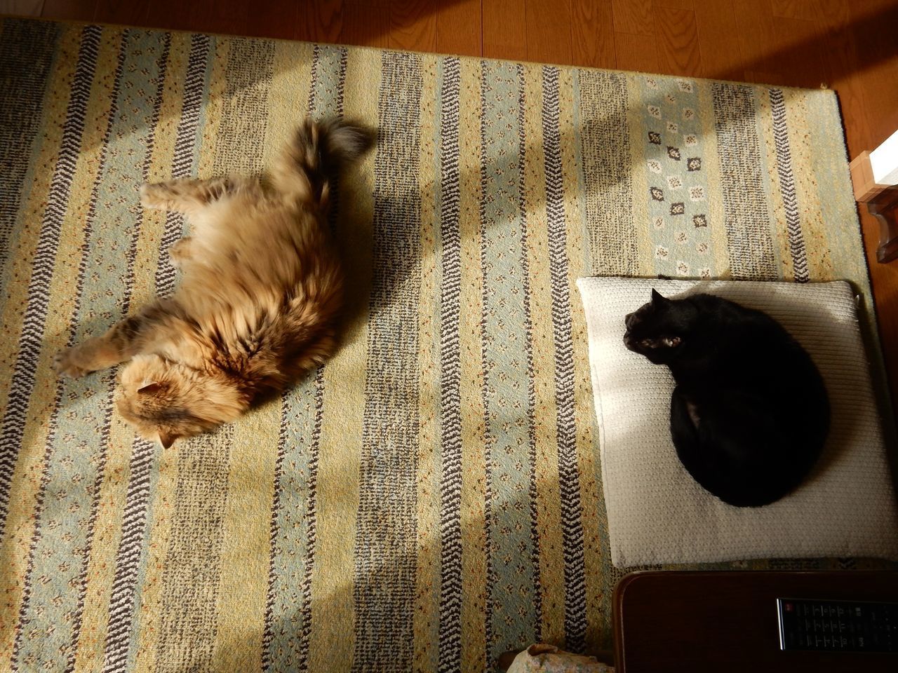 永訣の朝_c0025115_00080414.jpg