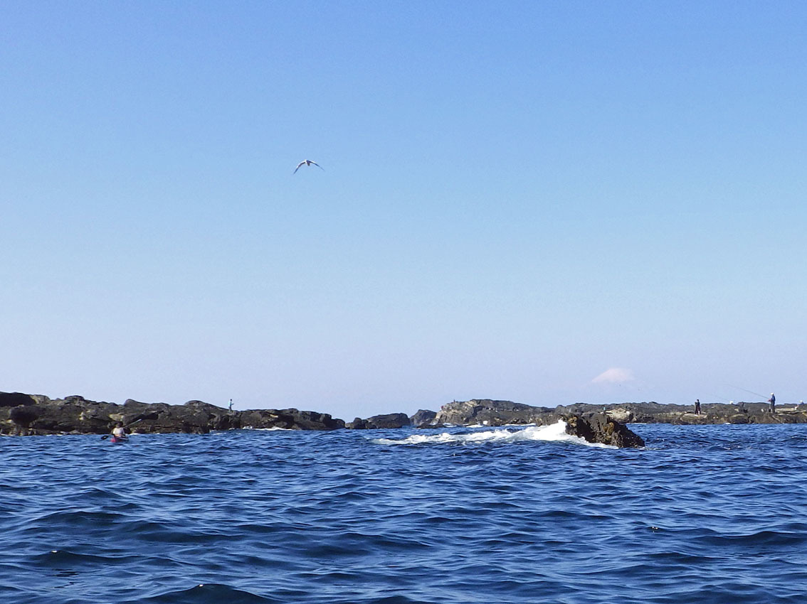 2020年1月13日(月)白浜毘沙門天〜城ケ島1周_b0117718_12585218.jpg