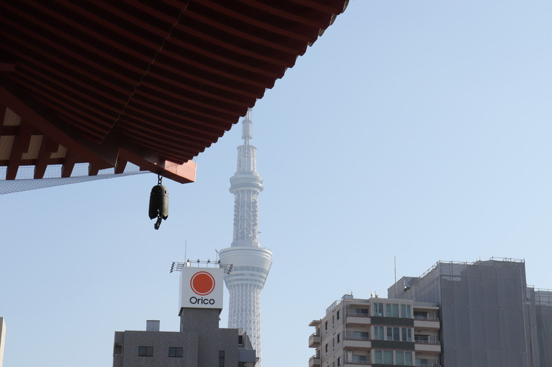 地元で評判の「舟和の羊かん」と「浅草ときわ」_a0214329_22135337.jpg