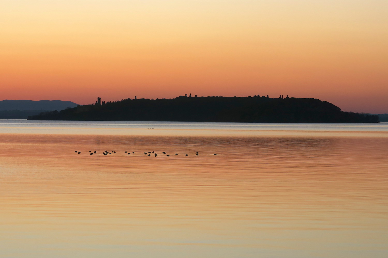 夕焼けの湖の鳥とコーヒーの鳥_f0234936_7375739.jpg