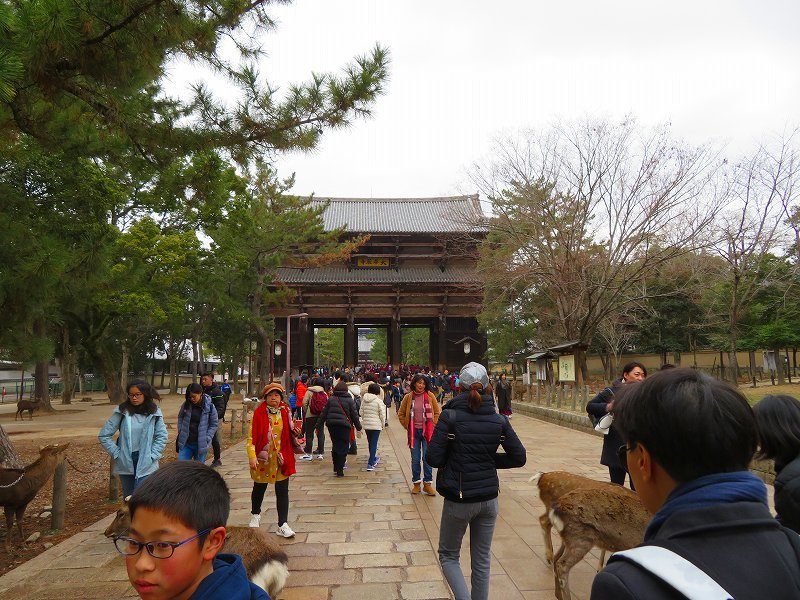 奈良「東大寺大仏殿」20200112_e0237645_15453162.jpg