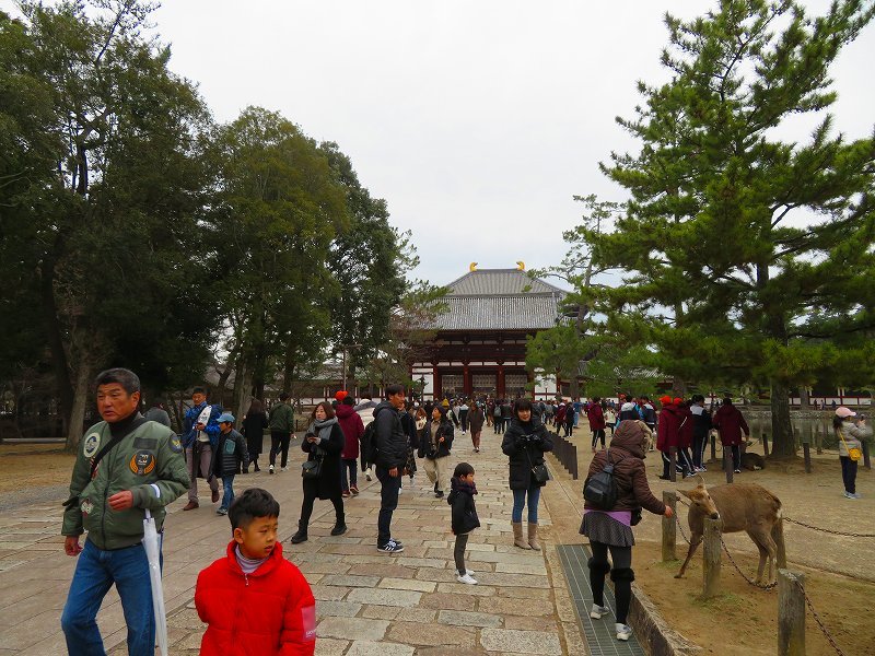 奈良「東大寺大仏殿」20200112_e0237645_15453284.jpg