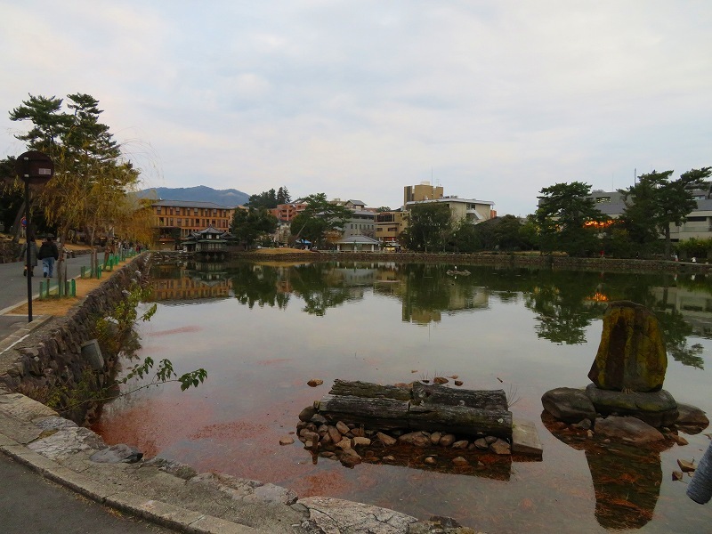 奈良市街を散策20200112_e0237645_15572398.jpg