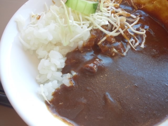 【初めて行ったアパホテル】名物おばはんカレー_b0009849_13293590.jpg