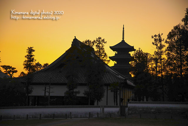 お写んぽ !_f0324756_09112372.jpg