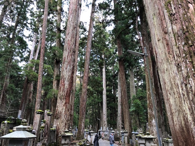 和歌山旅行 ~その2~_e0211357_14103764.jpg