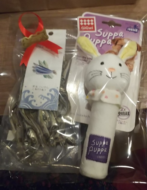 何事も深く考えすぎない♪失敗や挫折、痛みは次に進む強力なバネにもなる(^-^)/_b0405068_13094699.jpg