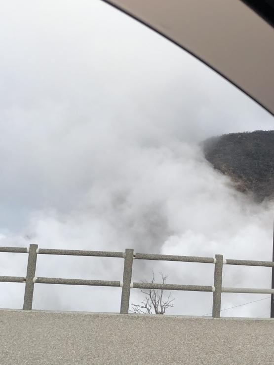 2020年１月１４日　実質今日から_b0098584_18342503.jpeg