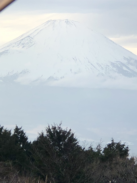 2020年１月１４日　実質今日から_b0098584_18354789.jpeg