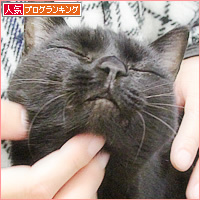 容疑者Aの犯行_a0389088_17442012.jpg