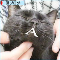 容疑者Aの犯行_a0389088_17442043.jpg