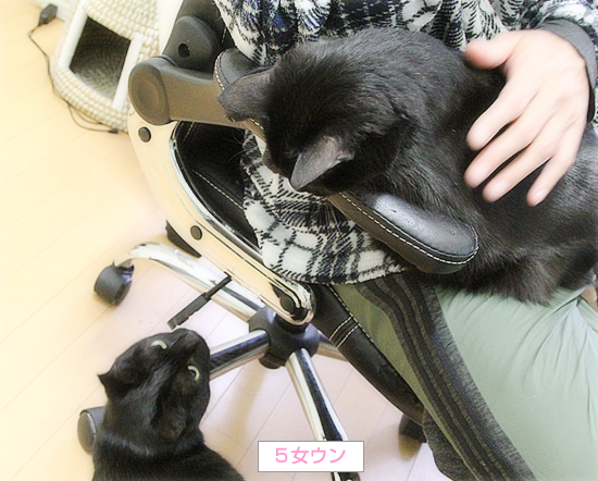 容疑者Aの犯行_a0389088_17442059.jpg