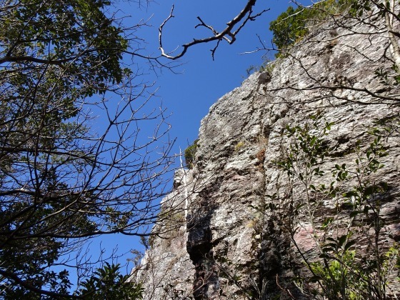 黒滝峰(1/4)【登頂断念】(高知市)_f0308898_17350902.jpg