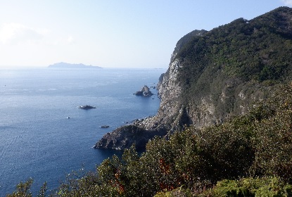 千羽ガ岳 海崖_e0077899_16485059.jpg