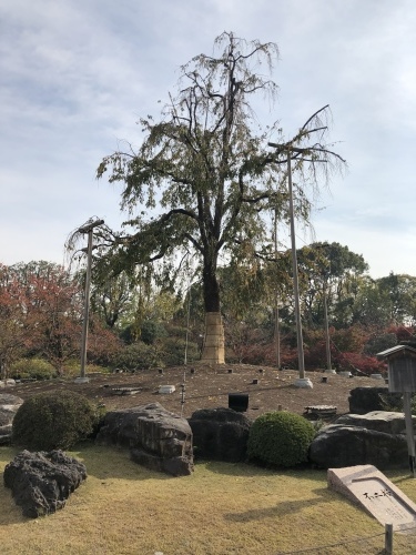 過去最大の避難_d0184114_20064581.jpeg