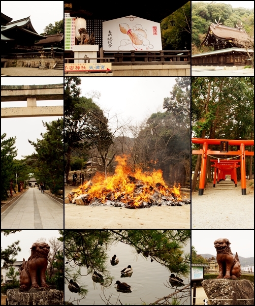神社巡り 2020_c0026824_15340704.jpg