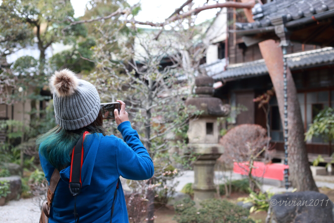 足利さんぽ　～鑁阿寺、足利学校、松村記念館～_e0227942_16271102.jpg