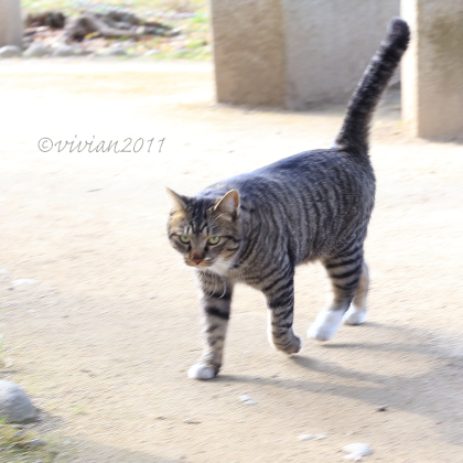 足利さんぽ　～鑁阿寺、足利学校、松村記念館～_e0227942_16413994.jpg