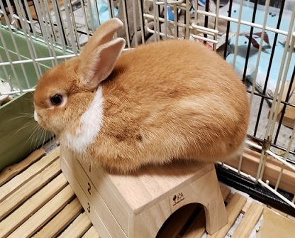 初回ホジュン 再放送_c0145449_21005818.jpg