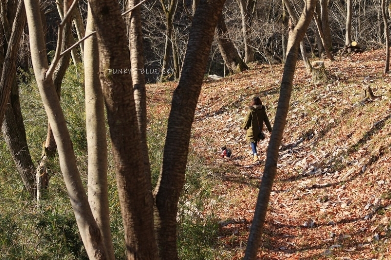 山RUN♪・Ⅲ (パカパカと・・)_c0145250_10315844.jpg