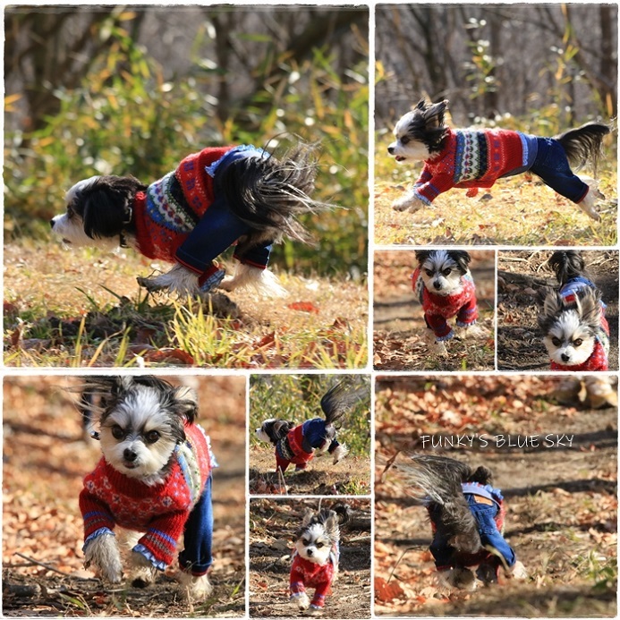 山RUN♪・Ⅲ (パカパカと・・)_c0145250_10322777.jpg