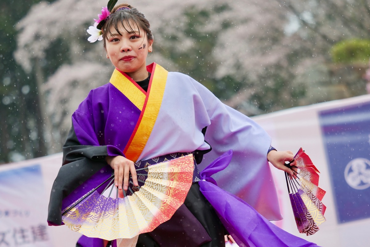 2019篠山よさこいまつりその12(Yosakoi Team 一新)_a0009554_23411271.jpg