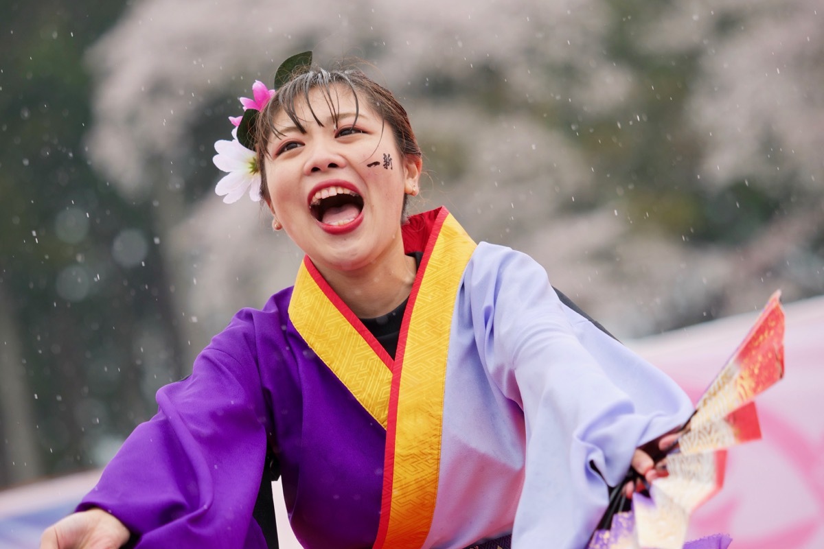2019篠山よさこいまつりその12(Yosakoi Team 一新)_a0009554_23412081.jpg