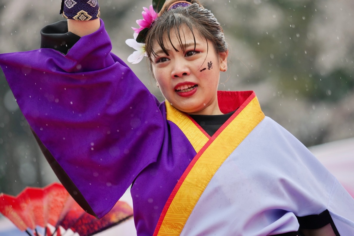 2019篠山よさこいまつりその12(Yosakoi Team 一新)_a0009554_23413633.jpg
