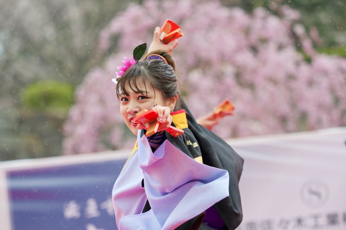 2019篠山よさこいまつりその12(Yosakoi Team 一新)_a0009554_23443389.jpg