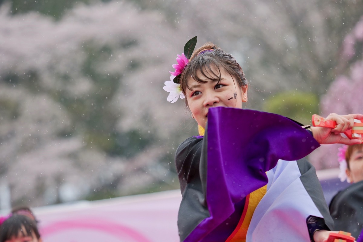 2019篠山よさこいまつりその12(Yosakoi Team 一新)_a0009554_23452086.jpg