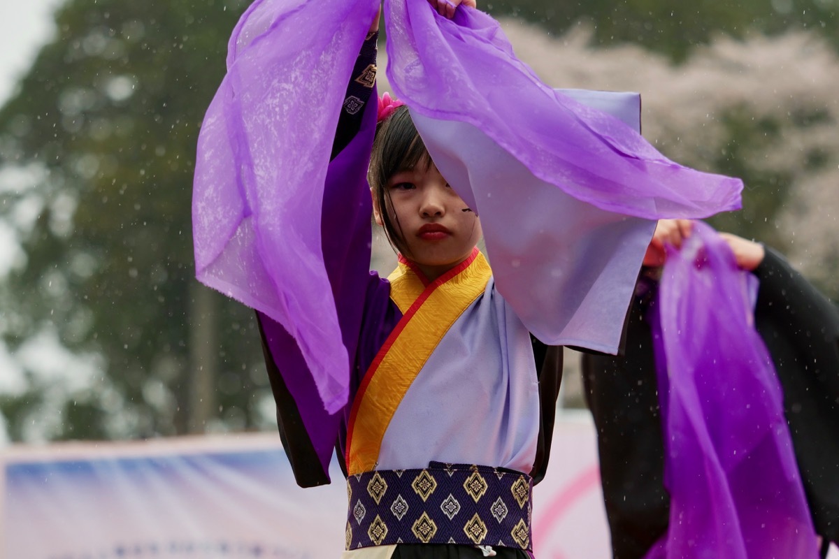 2019篠山よさこいまつりその12(Yosakoi Team 一新)_a0009554_23473026.jpg