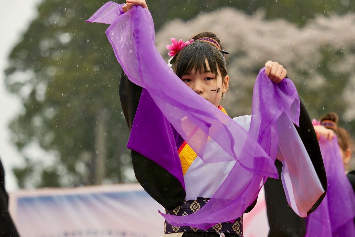 2019篠山よさこいまつりその12(Yosakoi Team 一新)_a0009554_23473414.jpg