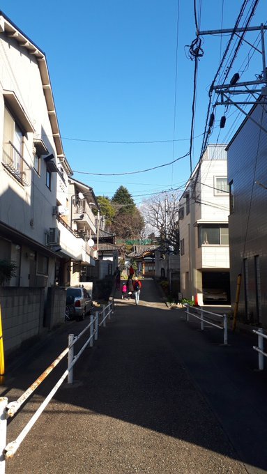 2020/1/1-8正月ゴーン初詣初湯幕末三舟コンプリート道灌山金閣寺最上階茶席の真偽東京養育院義葬の家ミイラ展ダイジェスト全国昭和初期めぐりブリタニア_b0116271_20472955.jpg
