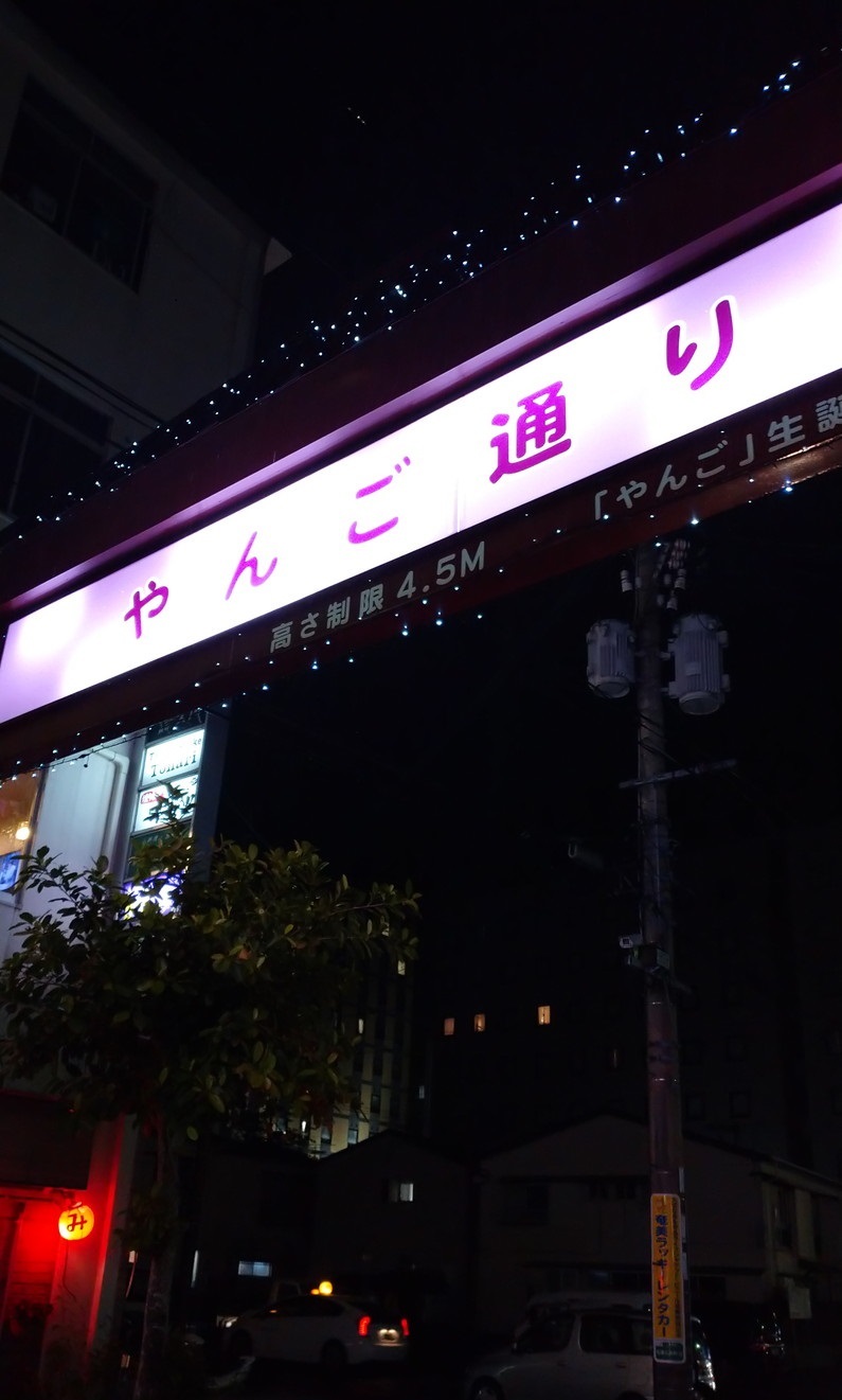 Imore 奄美大島旅行記 Vol.2 名瀬：セントラル楽器と吟亭にてシマ唄_c0002171_06121335.jpg