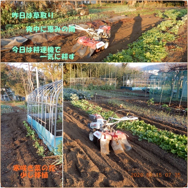 昨日は草取り 今日は耕運機で 太陽と北風 小次郎じじ物語 昨日は草取り 今日は耕運機で 太陽と北風 小次郎じじ物語