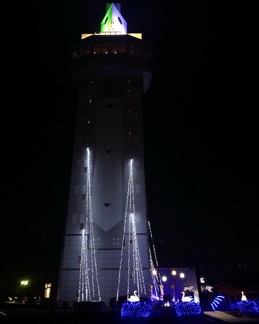 光のページェント HiKARi MiRAi (邑楽郡邑楽町中野)_b0004675_21122030.jpg