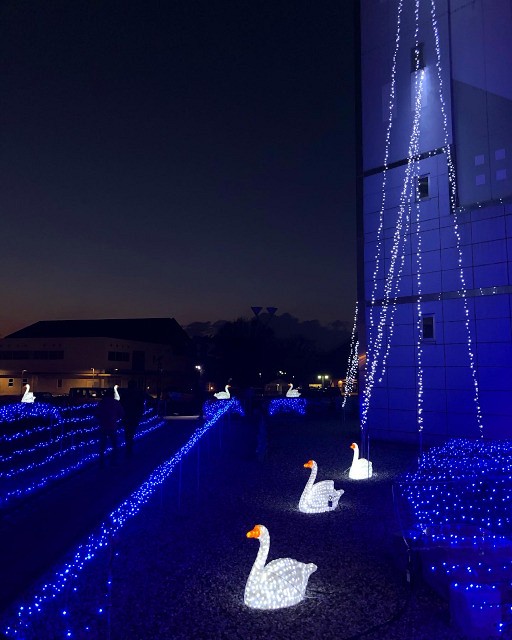 光のページェント HiKARi MiRAi (邑楽郡邑楽町中野)_b0004675_2112226.jpg