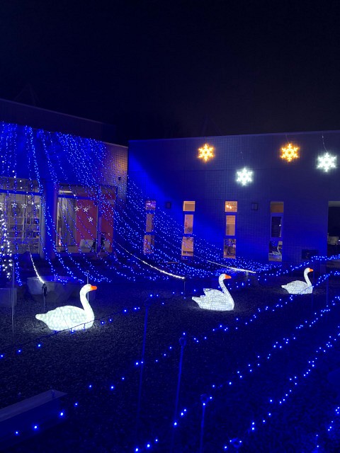 光のページェント HiKARi MiRAi (邑楽郡邑楽町中野)_b0004675_21122463.jpg