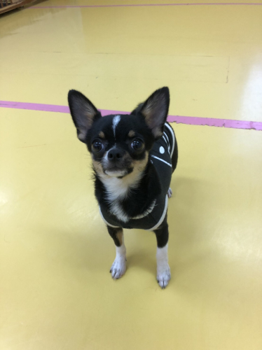 保育園ブログ_f0357682_01314041.jpg