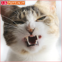 ちびすけの歯_a0389088_02144007.jpg