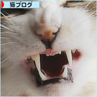 ちびすけの歯_a0389088_02144089.jpg
