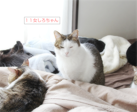 眠気に耐える_a0389088_10474849.jpg