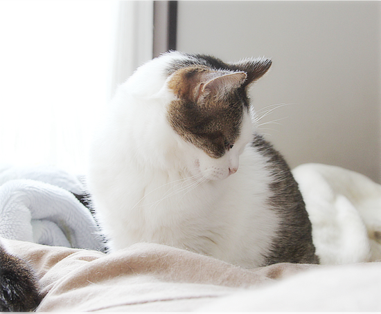眠気に耐える_a0389088_10474867.jpg