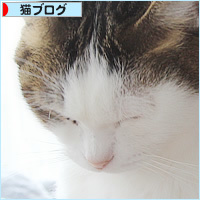 眠気に耐える_a0389088_10474880.jpg