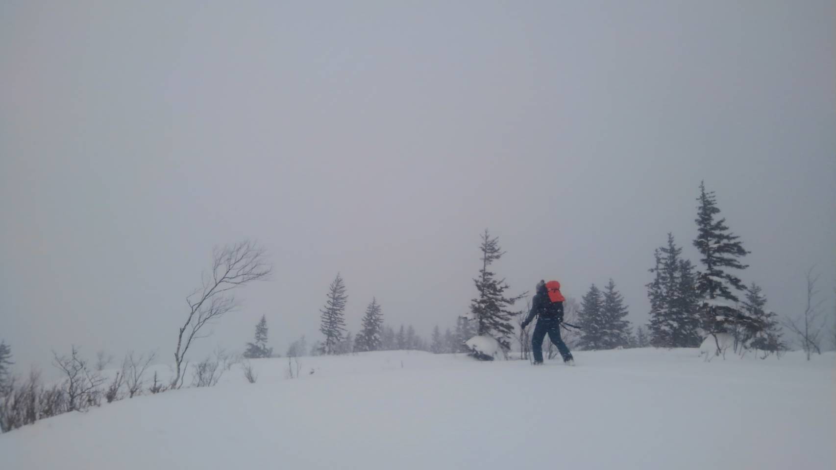 テムレス vs エアロゲル_d0198793_20172280.jpg