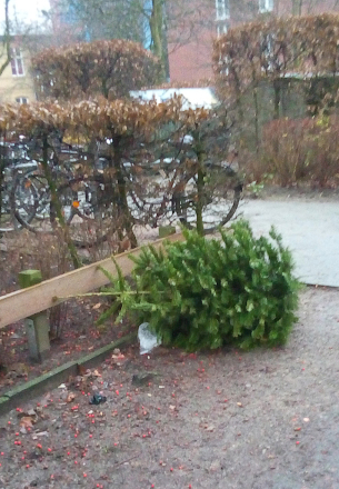 道ばたにクリスマスツリー_e0211204_20285311.jpg