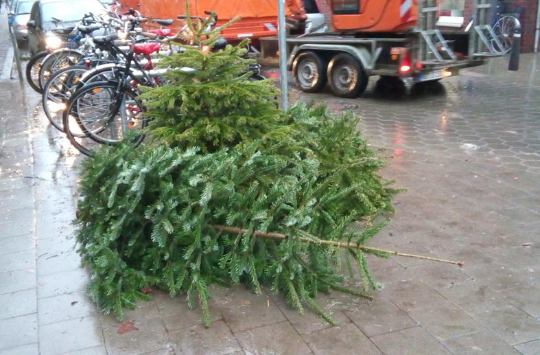 道ばたにクリスマスツリー_e0211204_20293286.jpg