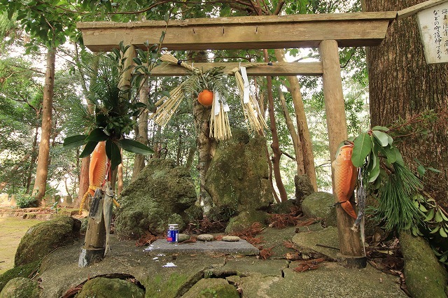 九木神社散策（その3）最終回（撮影1月11日）_e0321325_20020508.jpg