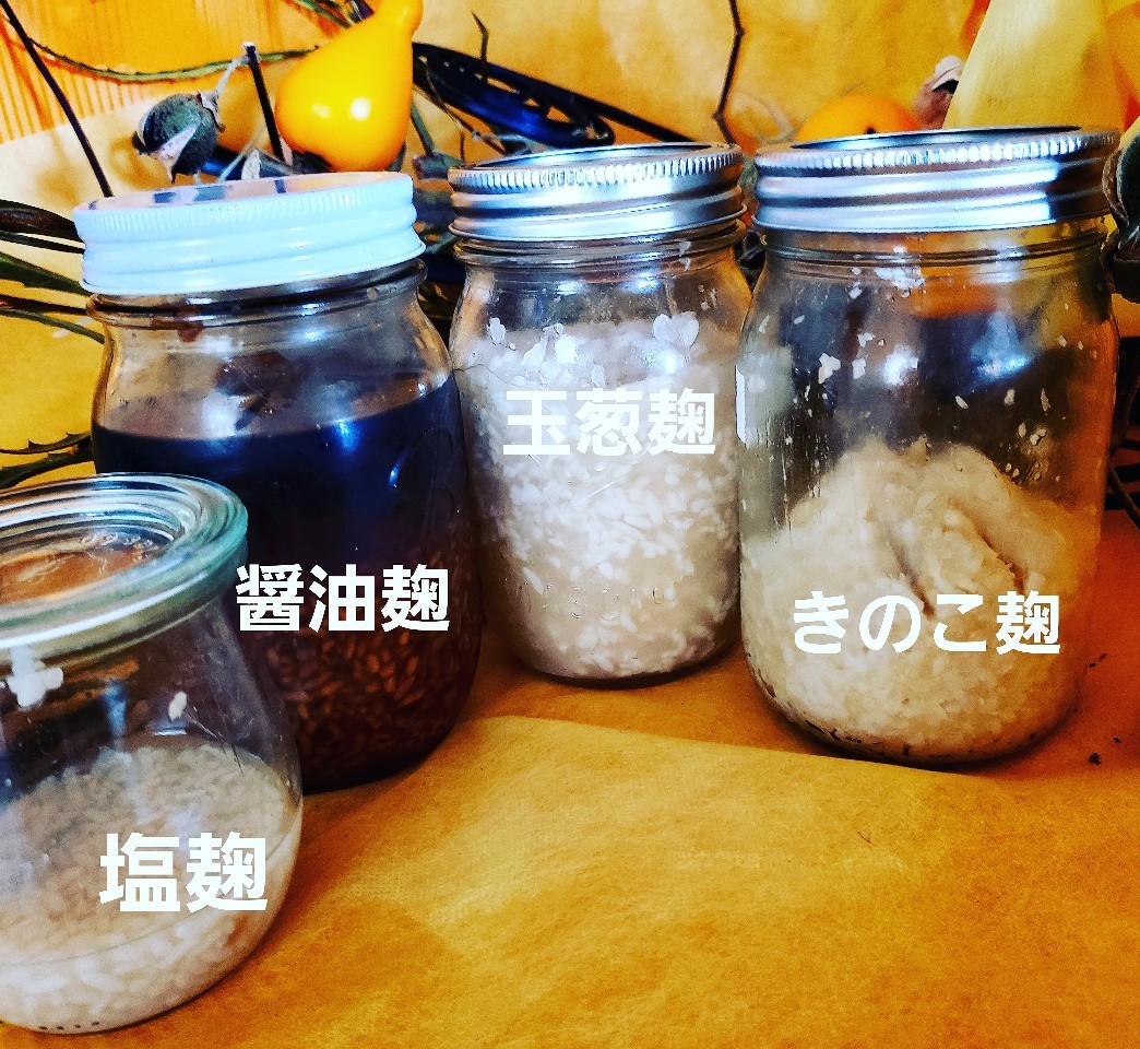 発酵盛りだくさんの我が家_a0105740_14400981.jpg